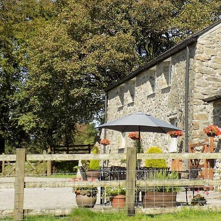 Lower Willsworthy Cottage Tavistock  Exterior photo