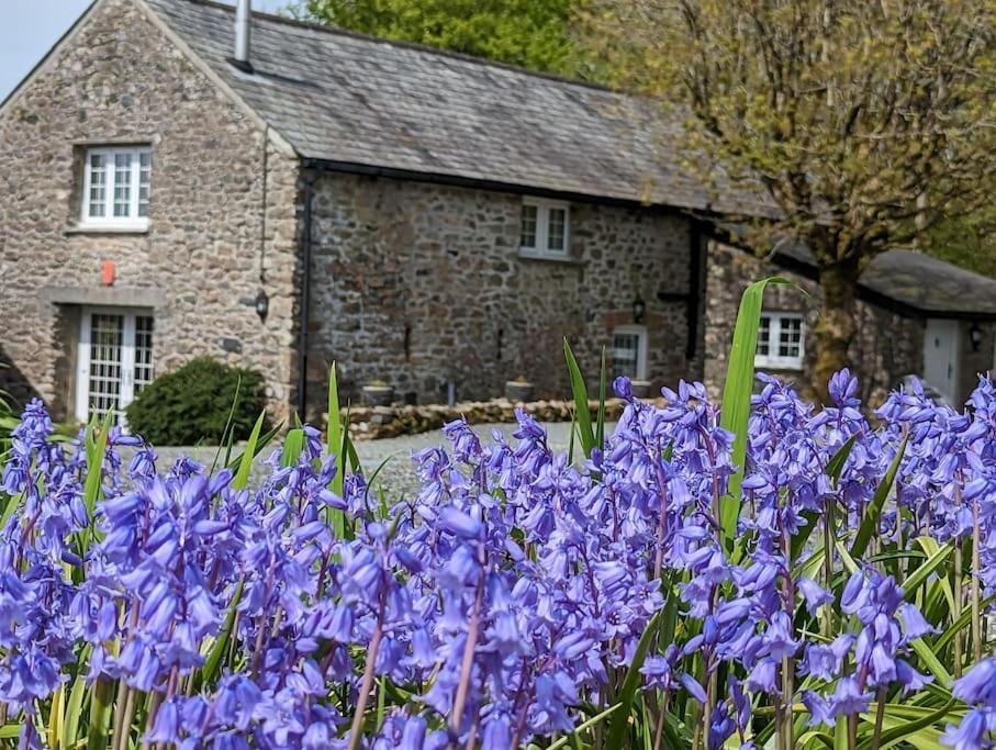 Lower Willsworthy Cottage Tavistock  Exterior photo